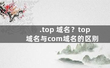.top 域名？top域名与com域名的区别
